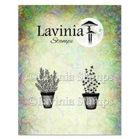 Lavinia Stamp Set - Rosemary & Thyme Pots