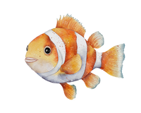 5 Crazy Ladies Journal Stickers - Underwater Wonders