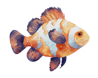 5 Crazy Ladies Journal Stickers - Underwater Wonders