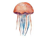 5 Crazy Ladies Journal Stickers - Underwater Wonders