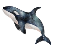 5 Crazy Ladies Journal Stickers - Underwater Wonders