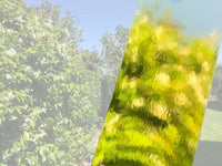 House of Paper - Mirror Cardstock 12x12