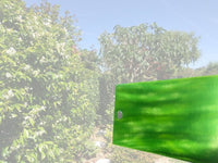 House of Paper - Mirror Cardstock 12x12