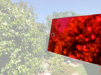 House of Paper - Mirror Cardstock 12x12