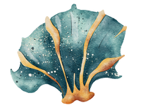 5 Crazy Ladies Journal Stickers - Underwater Wonders