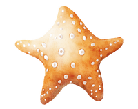 5 Crazy Ladies Journal Stickers - Underwater Wonders