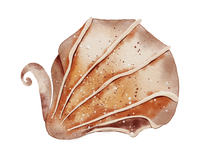 5 Crazy Ladies Journal Stickers - Underwater Wonders