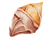 5 Crazy Ladies Journal Stickers - Underwater Wonders