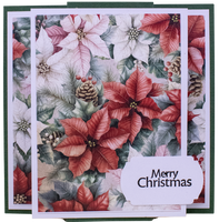 Thursday 6th November 2025 - Cards with Marg - 10am-12pm