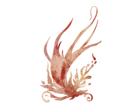 5 Crazy Ladies Journal Stickers - Underwater Wonders