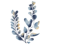 5 Crazy Ladies Journal Stickers - Underwater Wonders