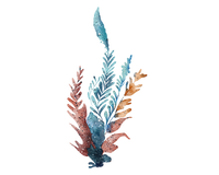 5 Crazy Ladies Journal Stickers - Underwater Wonders