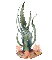 5 Crazy Ladies Journal Stickers - Underwater Wonders