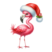 5 Crazy Ladies Stickers - Tropical Christmas