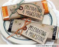 Darkroom Door Stamp Small - Milestone