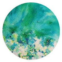 Brusho Powder - Water Based Colours