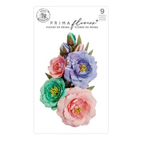 Prima Flower Pack - The Plant Department: Sunshine Plant