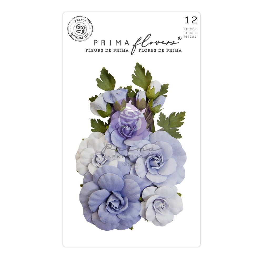 Prima Flower Pack - The Plant Department: Sweet Blue