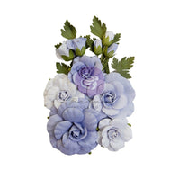 Prima Flower Pack - The Plant Department: Sweet Blue