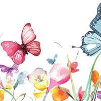 5 Crazy Ladies Stickers - Floral Borders 1