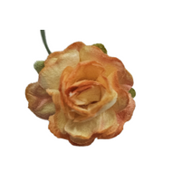 5 Crazy Ladies Flower Packs - Roses R5
