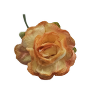 5 Crazy Ladies Flower Packs - Roses R5