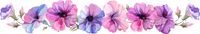5 Crazy Ladies Stickers - Floral Borders 1
