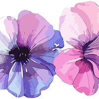 5 Crazy Ladies Stickers - Floral Borders 1