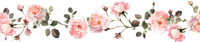 5 Crazy Ladies Stickers - Floral Borders 1
