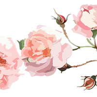5 Crazy Ladies Stickers - Floral Borders 1