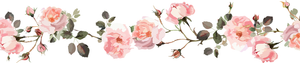 5 Crazy Ladies Stickers - Floral Borders 1