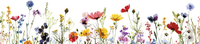 5 Crazy Ladies Stickers - Floral Borders 1
