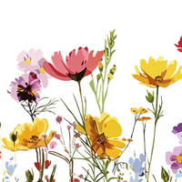 5 Crazy Ladies Stickers - Floral Borders 1