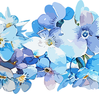 5 Crazy Ladies Stickers - Floral Borders 1
