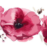 5 Crazy Ladies Stickers - Floral Borders 1