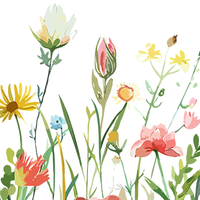 5 Crazy Ladies Stickers - Floral Borders 1