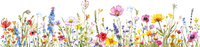 5 Crazy Ladies Stickers - Floral Borders 1
