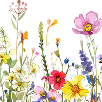 5 Crazy Ladies Stickers - Floral Borders 1