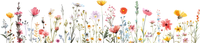 5 Crazy Ladies Stickers - Floral Borders 1
