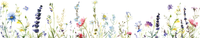 5 Crazy Ladies Stickers - Floral Borders 1
