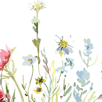 5 Crazy Ladies Stickers - Floral Borders 1