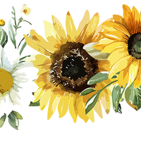 5 Crazy Ladies Stickers - Floral Borders 1