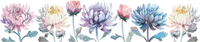 5 Crazy Ladies Stickers - Floral Borders 1
