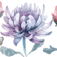 5 Crazy Ladies Stickers - Floral Borders 1