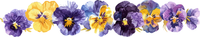 5 Crazy Ladies Stickers - Floral Borders 1
