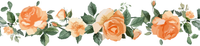 5 Crazy Ladies Stickers - Floral Borders 1
