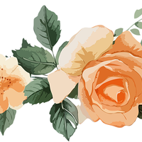 5 Crazy Ladies Stickers - Floral Borders 1