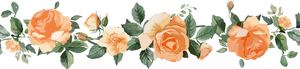 5 Crazy Ladies Stickers - Floral Borders 1