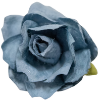 5 Crazy Ladies Flower Packs -Large Rambling Roses - 5 pack