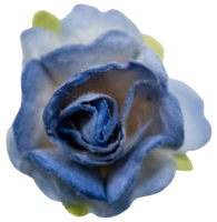 5 Crazy Ladies Flower Packs - Roses extra small
